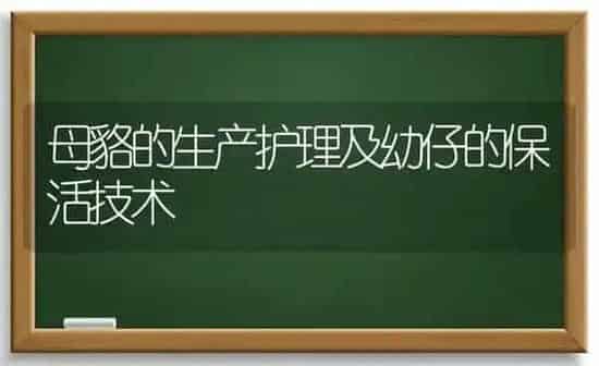 母貉的生产护理及幼仔的保活技术 | 养殖知识