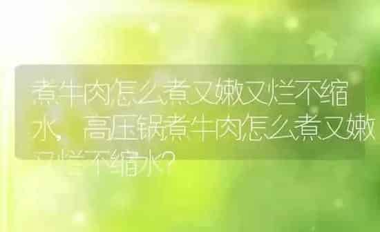 煮牛肉怎么煮又嫩又烂不缩水,高压锅煮牛肉怎么煮又嫩又烂不缩水？ | 养殖科普