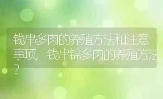 钱串多肉的养殖方法和注意事项,钱串锦多肉的养殖方法？ | 养殖科普