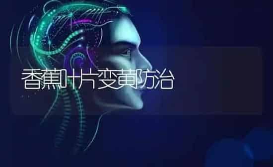 香蕉叶片变黄防治 | 养殖知识