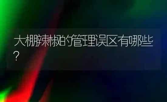 大棚辣椒的管理误区有哪些? | 养殖技术大全