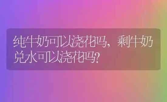 纯牛奶可以浇花吗,剩牛奶兑水可以浇花吗? | 养殖科普
