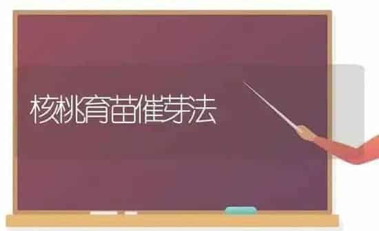 核桃育苗催芽法 | 养殖知识