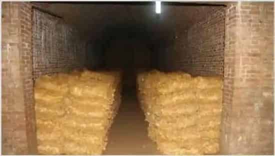 土豆贮藏新技术 | 生活妙招
