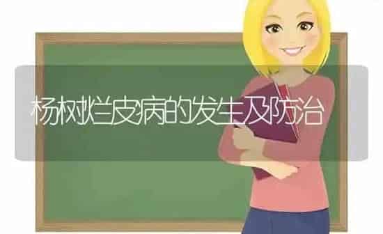 杨树烂皮病的发生及防治 | 养殖知识