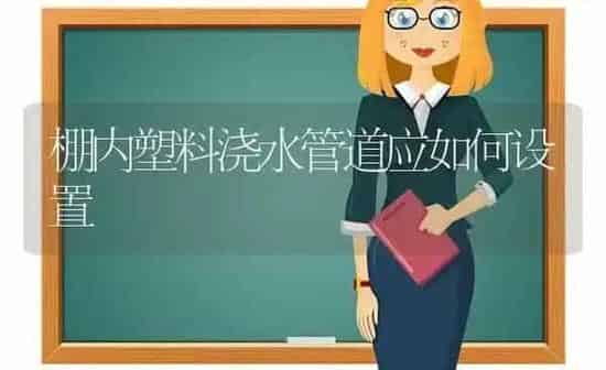 棚内塑料浇水管道应如何设置 | 养殖知识