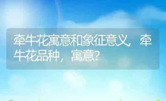 牵牛花寓意和象征意义,牵牛花品种，寓意？ | 养殖科普