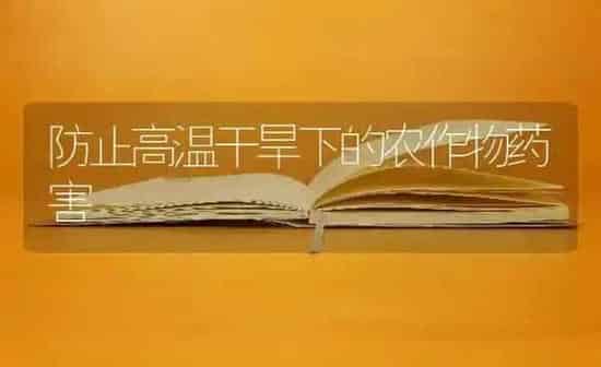 防止高温干旱下的农作物药害 | 养殖知识
