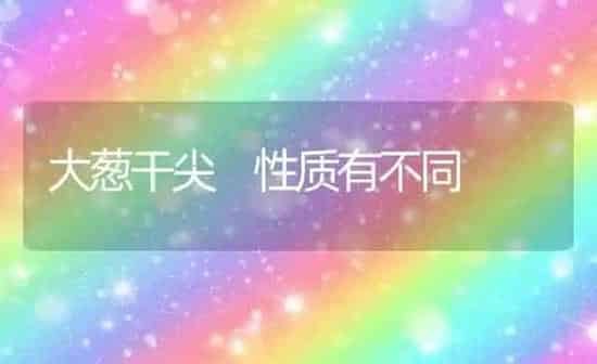大葱干尖 性质有不同 | 养殖知识