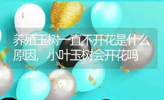 油菜什么时候种植最佳种植时间和方法,油菜种植时间和方法亩产量如何 | 养殖学堂
