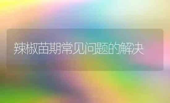 辣椒苗期常见问题的解决 | 养殖知识