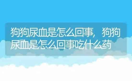 狗狗尿血是怎么回事,狗狗尿血是怎么回事吃什么药 | 养殖资料