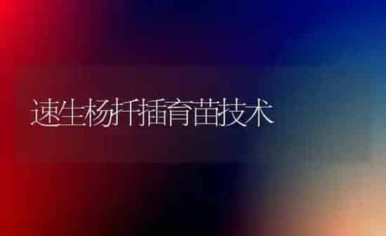 速生杨扦插育苗技术 | 养殖知识