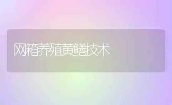 网箱养殖黄鳝技术 | 养殖知识