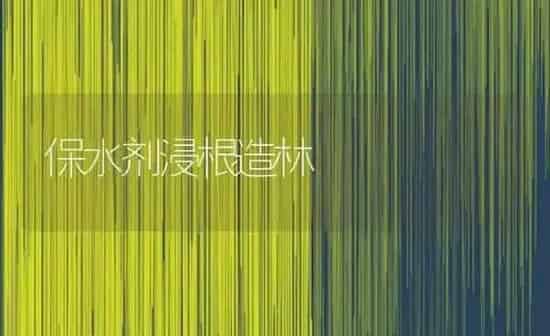 保水剂浸根造林 | 养殖知识