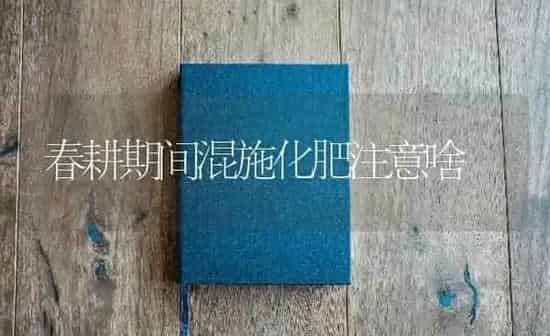 春耕期间混施化肥注意啥 | 养殖知识