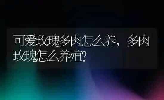 狗吃什么会死,狗吃什么会死还查不出来 | 养殖科普