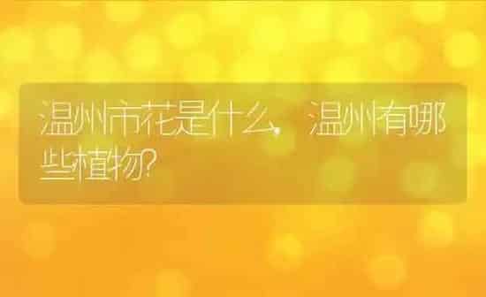 温州市花是什么,温州有哪些植物? | 养殖科普