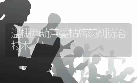 温棚西葫芦蔓枯病药剂防治技术 | 养殖知识