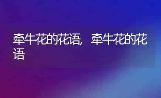 牵牛花的花语,牵牛花的花语 | 养殖科普
