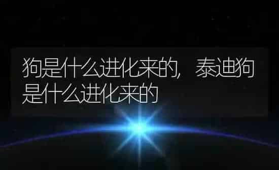 狗是什么进化来的,泰迪狗是什么进化来的 | 养殖科普