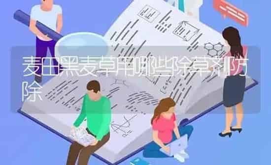 麦田黑麦草用哪些除草剂防除 | 养殖知识