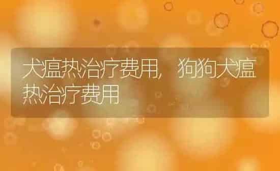 犬瘟热治疗费用,狗狗犬瘟热治疗费用 | 养殖资料