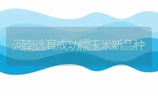 土法养蜂咋取蜜 | 养殖技术大全