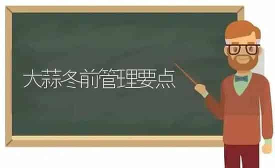 大蒜冬前管理要点 | 养殖知识