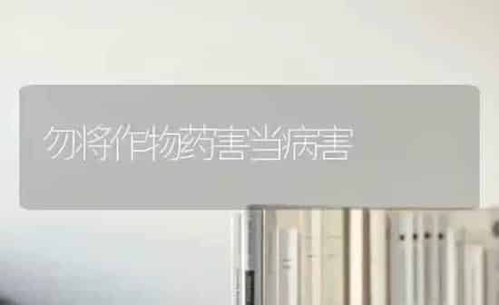 勿将作物药害当病害 | 养殖知识