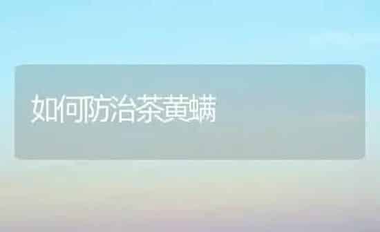 如何防治茶黄螨 | 养殖知识