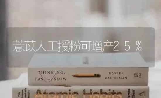 薏苡人工授粉可增产25% | 养殖技术大全