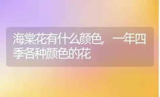海棠花有什么颜色,一年四季各种颜色的花 | 养殖学堂