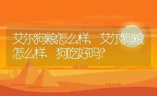 艾尔狗粮怎么样,艾尔狗粮怎么样.狗吃好吗? | 养殖资料