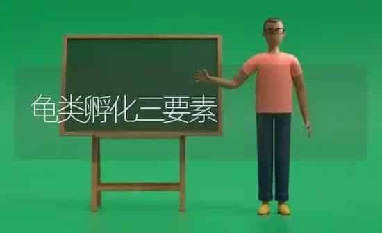龟类孵化三要素 | 养殖知识