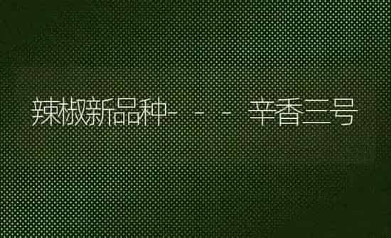 辣椒新品种---辛香三号 | 养殖知识