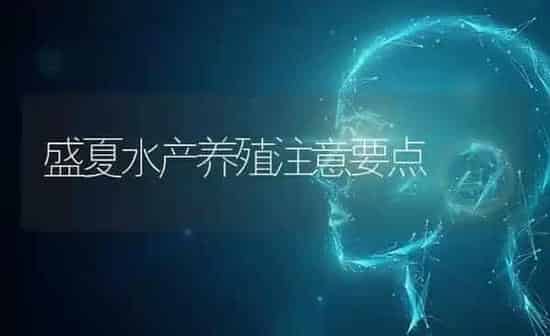 盛夏水产养殖注意要点 | 养殖技术大全