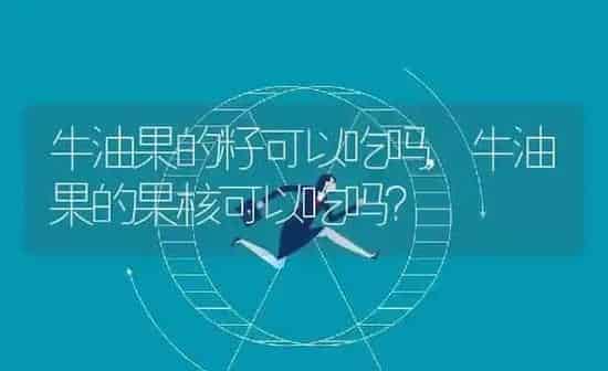 牛油果的籽可以吃吗,牛油果的果核可以吃吗？ | 养殖科普