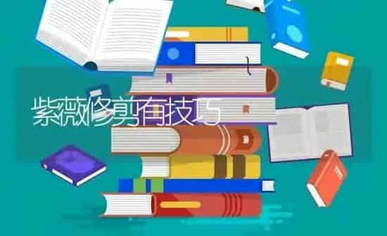 紫薇修剪有技巧 | 养殖知识