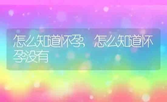 怎么知道怀孕,怎么知道怀孕没有 | 养殖资料