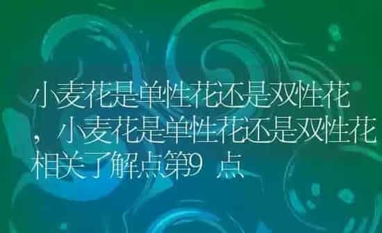 小麦花是单性花还是双性花,小麦花是单性花还是双性花相关了解点第9点 | 养殖学堂
