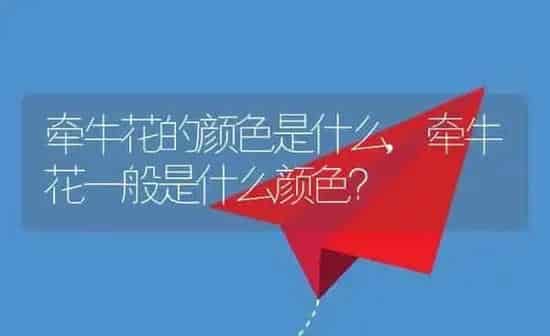 牵牛花的颜色是什么,牵牛花一般是什么颜色？ | 养殖科普