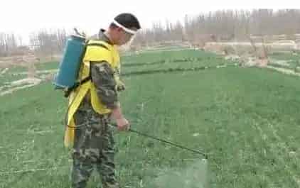 除草剂的使用方法 除草剂使用需注意的问题 | 生活妙招
