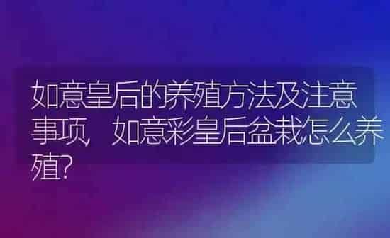 最聪明的狗排名,最聪明的狗排名前十 | 养殖科普