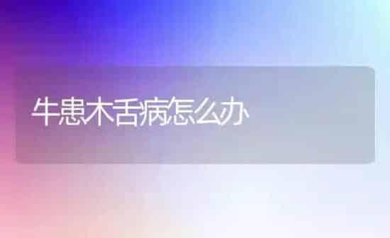 牛患木舌病怎么办 | 养殖技术大全