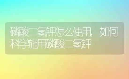 磷酸二氢钾怎么使用,如何科学施用磷酸二氢钾 | 养殖学堂