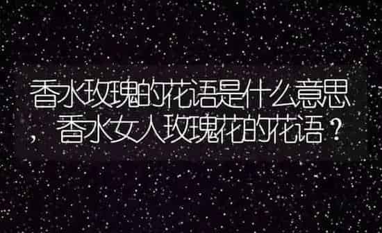 香水玫瑰的花语是什么意思,香水女人玫瑰花的花语？ | 养殖科普