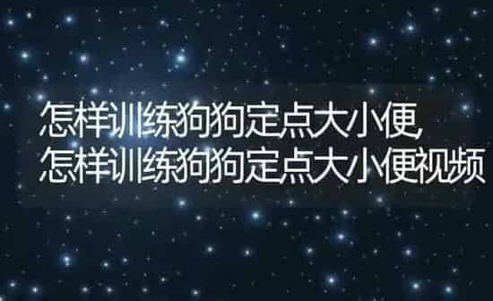 怎样训练狗狗定点大小便,怎样训练狗狗定点大小便视频 | 养殖科普