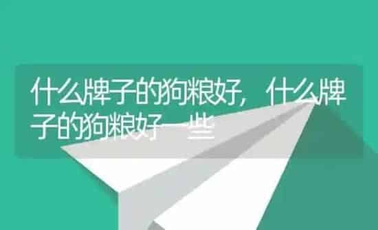什么牌子的狗粮好,什么牌子的狗粮好一些 | 养殖资料