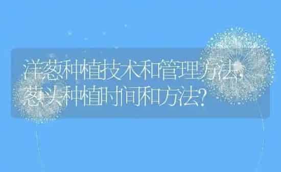 按可以组什么词,瓣可以组什么词 | 养殖科普